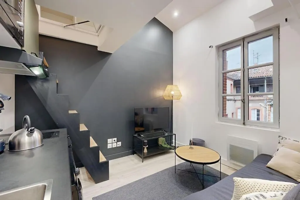 شقة Chal3 Duplex Cosy A 200M Du Capitole تولوز